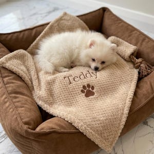 Pode incluir: Um pequeno cachorro branco descansando sobre um cobertor bege texturizado dentro de uma cama marrom para animais de estima&ccedil;&atilde;o. O cobertor apresenta o nome Teddy bordado em fio marrom acima de um &iacute;cone de pata, com um detalhe de borla.