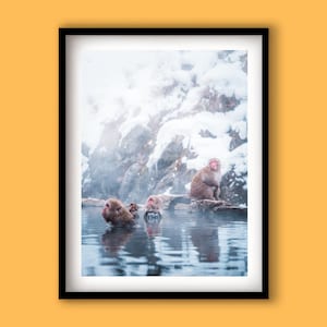 Op de afbeelding: Een ingelijste print met Japanse makaken, ook wel sneeuwapen genoemd, die ontspannen in een warmwaterbron. De apen hebben roodbruine vacht en worden omringd door water en met sneeuw bedekte rotsen. De afbeelding is gesitueerd in een besneeuwd berglandschap.