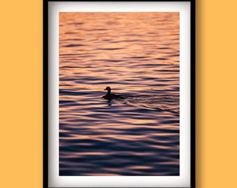Lake Burley Griffin Sunrise Print | Mindful Living Decor, Meditation Room Art, Calm Minimalist Artwork, Calm Reflective Bedroom Wall Art