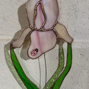 Stained glass iris