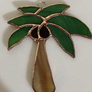 Small palm tree