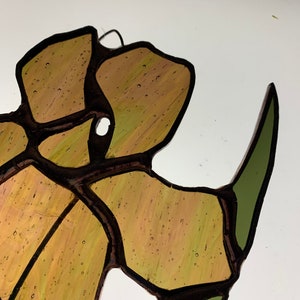 Stained glass iris