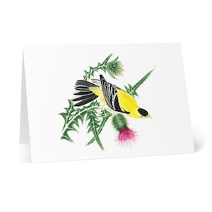 Cartes de vœux Goldfinch, Ensemble de 8