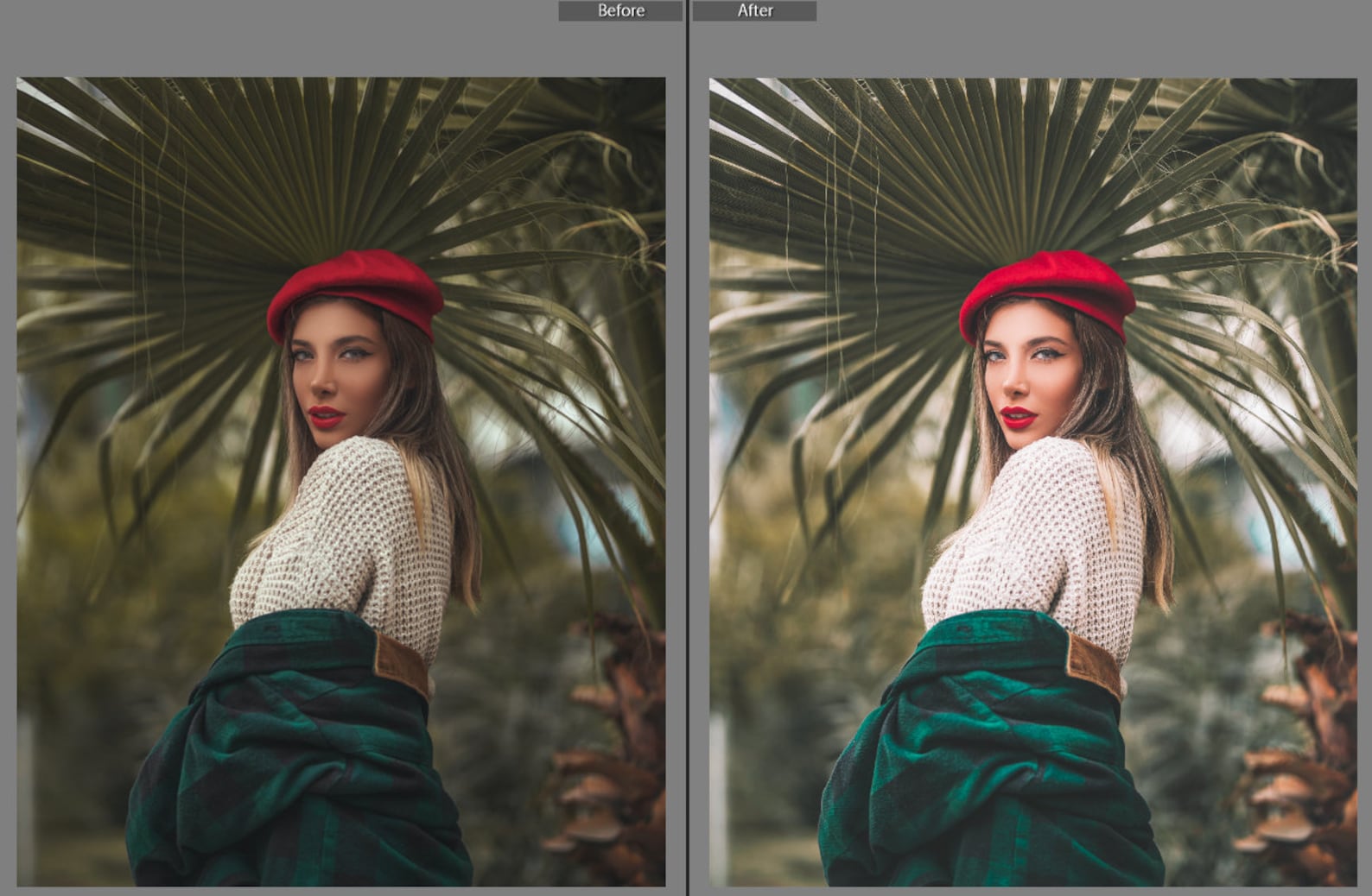 Portrait Filters Lightroom Mobile and Desktop Presets Etsy