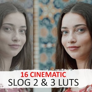 16 Cinematic Fashion Luts - Film Slog2 & Slog3 Luts