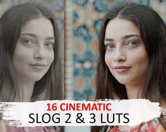16 Cinematic Fashion Luts - Film Slog2 & Slog3 Luts