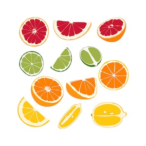 Fruits Icons Bundle - Fruits Clipart Stickers SVG