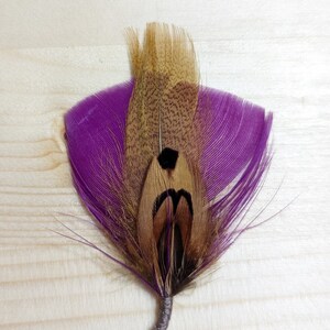 Hat Feather &quot;Tunis&quot;