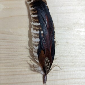 Hat Feather &quot;Mexico City&quot;