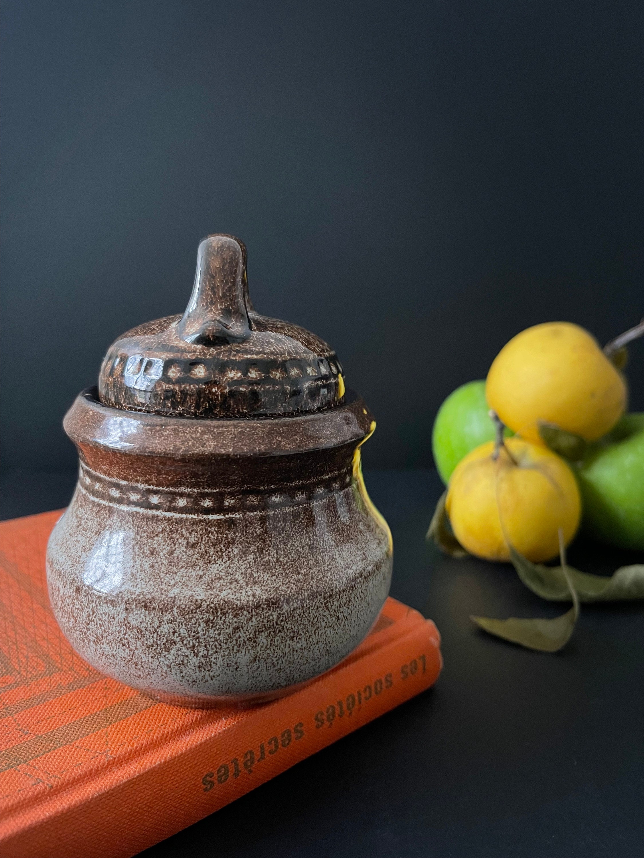 Charming Glazed Ceramic Jar Container With Lid. Spices Etsy