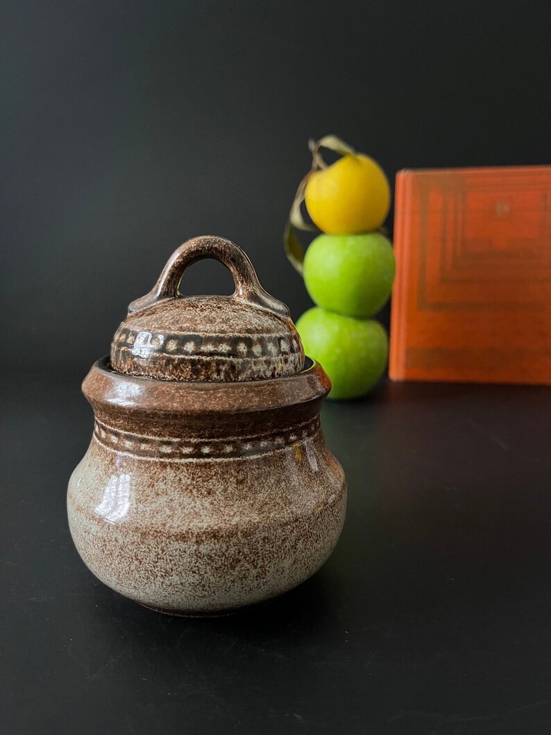 Charming Glazed Ceramic Jar Container With Lid. Spices Etsy