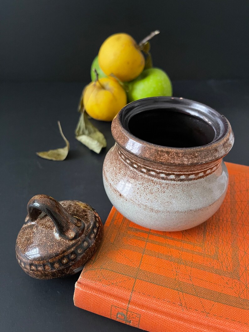 Charming Glazed Ceramic Jar Container With Lid. Spices Etsy