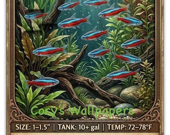 Neon Tetra Care IPhone Wallpaper. iPhone 14 Pro Max, 15 Plus, 15 Pro Max and 16 Plus.