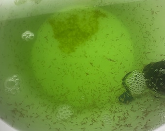 200 Live Brine Shrimp (Artemia) - High Protein Fry, Reef, & Tropical Fish Food W/15ML Dark Chlorella For Gut Loading.