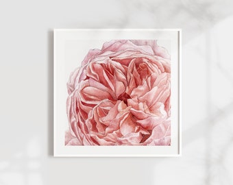 Rose, Watercolor Flowers Clipart, Floral Wedding Invitation, Wall art, Art prints - Digital Download PNG file