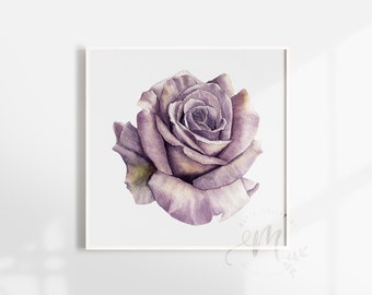 Purple Rose Watercolor Clipart: Floral Wedding Invitation (Digital Download PNG)