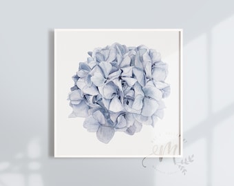 Blue Hydrangea Watercolor Clipart: Floral Wedding Invitation (Digital Download PNG)