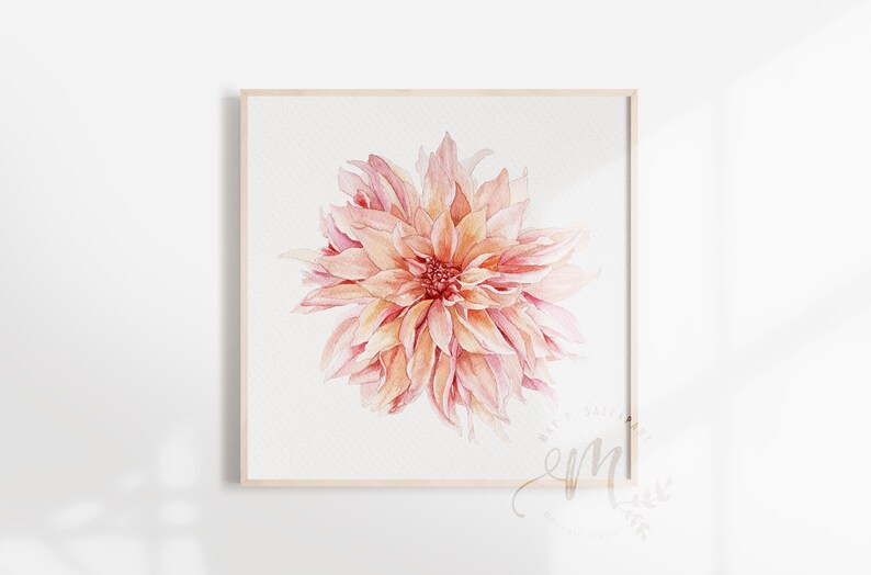 May include: A watercolor painting of a pink and peach dahlia flower. The flower is in bloom and has many petals. The background is white.