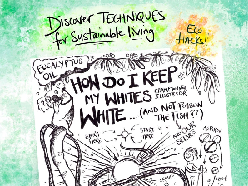 Discover techniques for sustainable living - ecohacks!