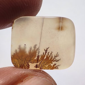 100% Rare Dendritic Agate Cabochon, Natural Dendritic Agate Gemstone, Scenic Dendritic Agate Loose Stone For Jewelry 4.70 Cts. 13×11×2.5 MM