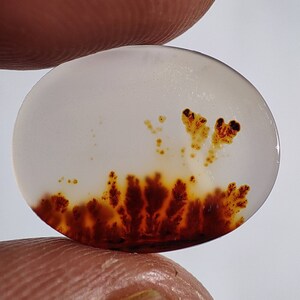 100% Rare Dendritic Agate Cabochon, Natural Dendritic Agate Gemstone, Scenic Dendritic Agate Loose Stone For Jewelry 3 Cts. 12×15×2 MM