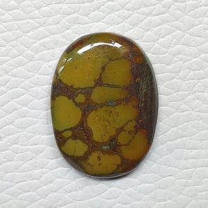 Pode incluir: Uma pedra preciosa cabochão de formato oval com uma superfície lisa e polida, apresentando um padrão manchado de tons amarelo-mostarda e verde-oliva, separados por uma matriz castanho-escura que cria um contraste natural na pedra.
