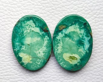 Hubei Turquoise Cabochon Pair For Earrings