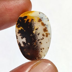 Pendent Size Dendritic Agate Cabochon,  Dendritic Quartz Cabochon, Natural Dendritic Agate Loose Stone For Jewelry 9 Cts. 24×17×2 MM