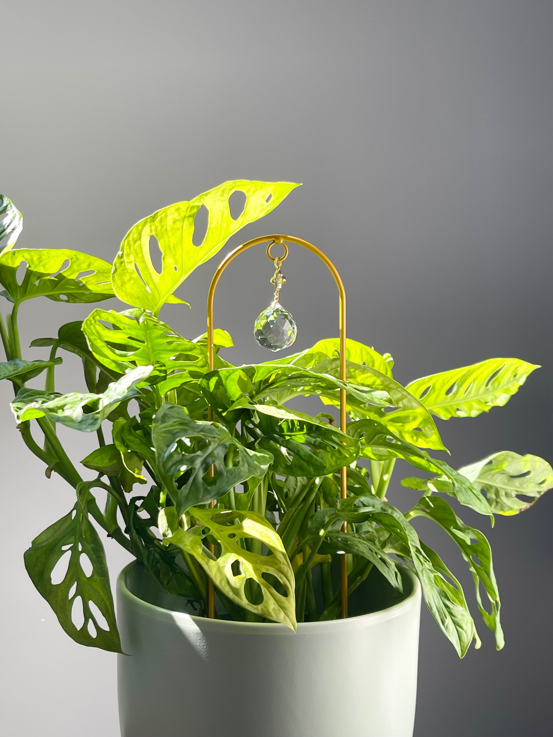 Plant Stake Suncatcher: Crystal Rainbow Maker, Garden Trellis Arch