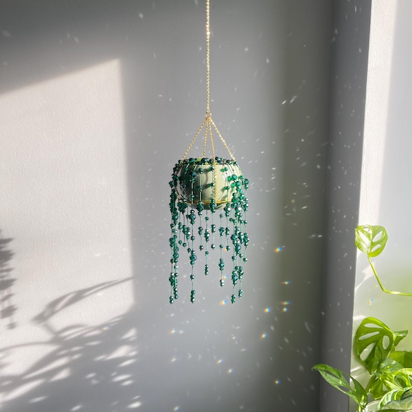 Hanging Beaded Plant String of Pearls in Ceramic Pot