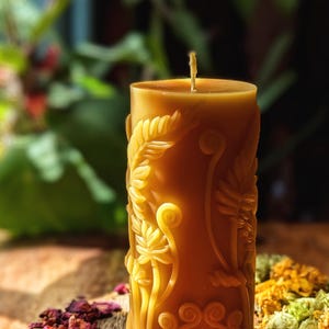Botanical Spring Fiddlehead Fern, vela de cera de abelha, vela sem perfume, sem toxinas e sem desperdício