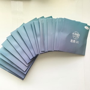 Lianqing B Strings set of 21 连青古筝弦B弦一套