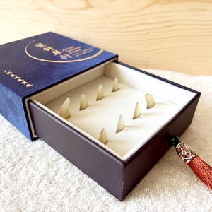 Può includere: Una scatola blu scuro con un cassetto, contenente diversi oggetti a forma di cono di colore chiaro. La scatola ha testo dorato e un design circolare sul coperchio. Un nappa rossa pende dal lato. La scatola è su una superficie bianca.
