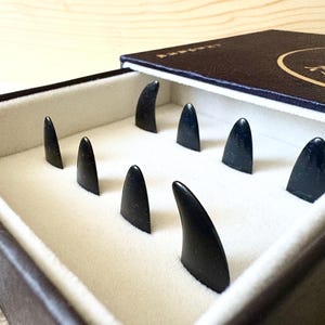 May include: A dark brown box with a navy blue lid, open to reveal a white interior. Inside, eight black, curved objects are arranged. The objects are evenly spaced and appear to be made of a smooth, polished material.