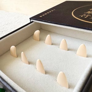 May include: Open black box with a white interior and several beige, triangular-shaped objects. The box lid has gold lettering and a circular design. The objects are arranged in rows within the box, suggesting a storage or display function.