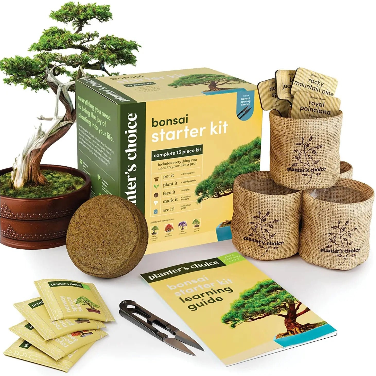 Botanical Bonsai Eco-Grow Kit – Pronto Seed