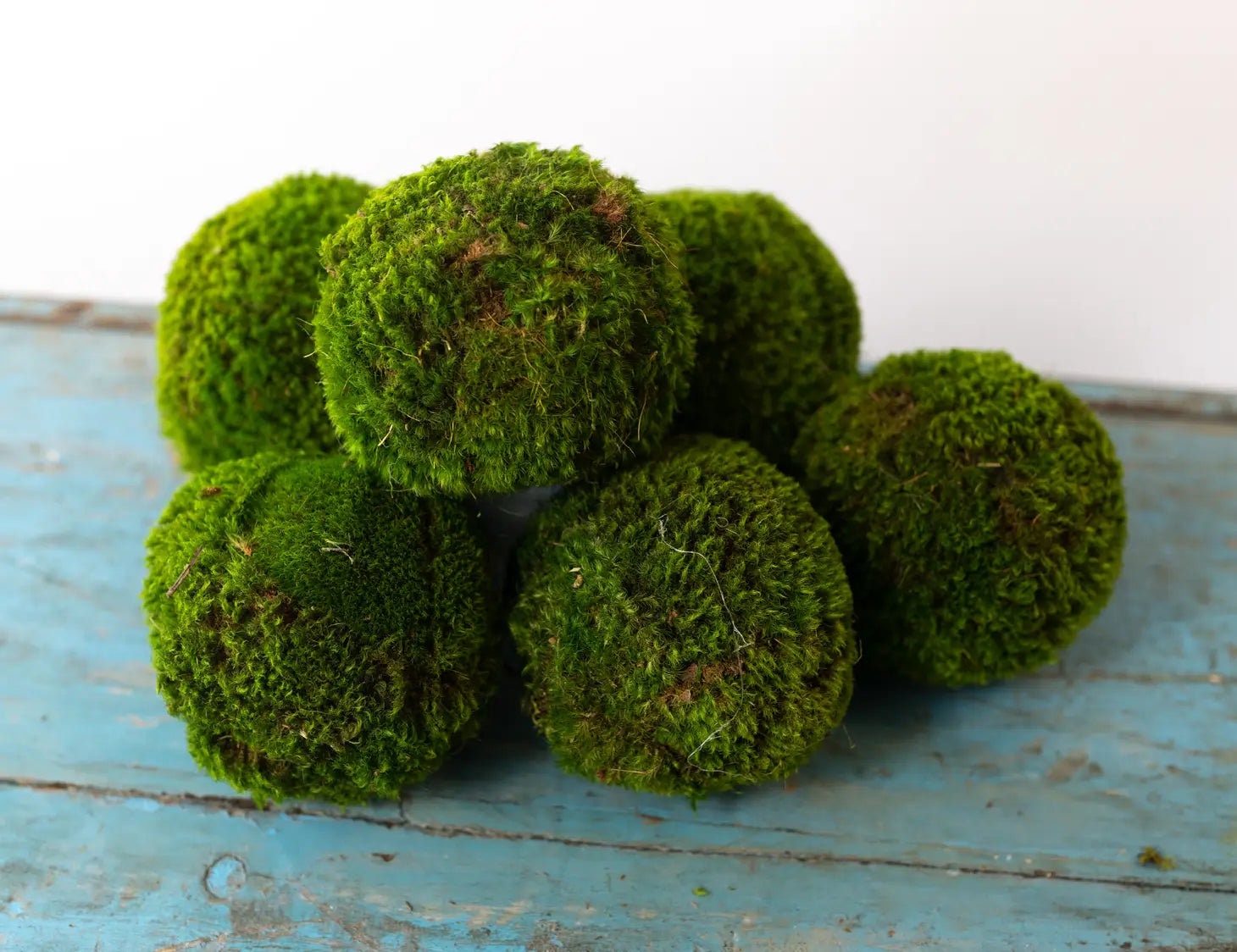 Qingbei Rina Moss Balls Decorative Bowl Fillers for Centerpiece,4 inch Set of 6,Large Moss Balls Green Decorative Balls,Preserved Marimo Moss Ball