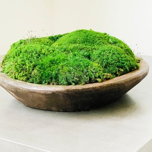 Moss Metal Bowl 
