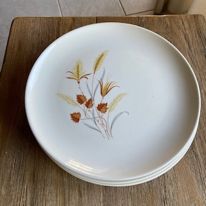 Vintage Ever Yours Autumn Harvest dinner plates (4)