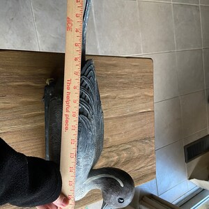 Flambeau duck decoy image 9