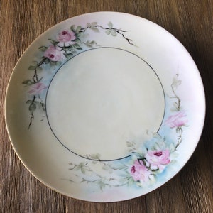 Antique hand painted plate MZ Austria