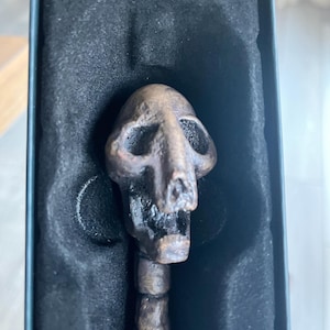 May include: A bronze-colored wand with a skull-shaped handle, presented in a black box. The wand's handle features a detailed skull design, with a textured, segmented shaft. The overall aesthetic suggests a fantasy or gothic theme.