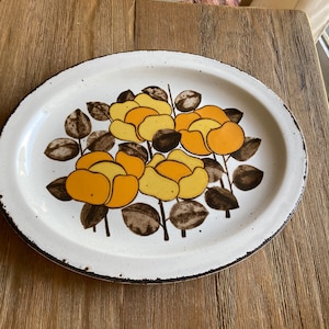 Vintage Stonehenge Midwinter platter