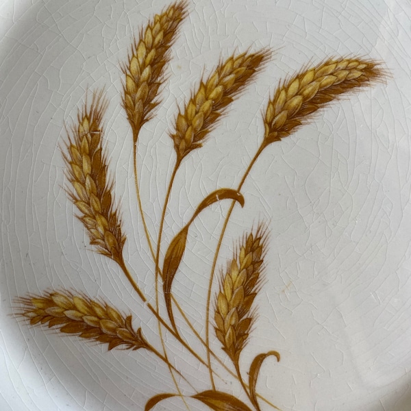 Wheat Plates Etsy