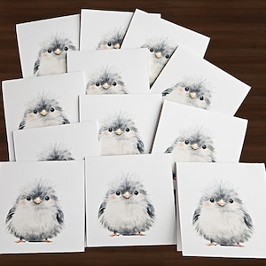 May include: A collection of square greeting cards featuring a watercolor illustration of a fluffy gray and white bird with a peach-colored cheek. The cards are stacked on a dark brown wooden surface.