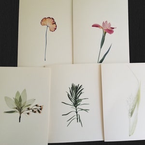 Nature Note Cards, Assorted Blank Card Set, Small Gift for Friend