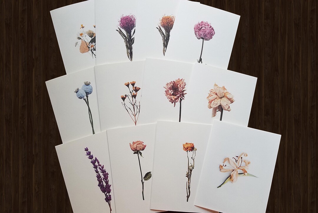 Dried Flower Note Cards: Blank Botanical Greeting Cards - Etsy