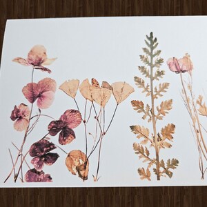 May include: A botanical print featuring pressed flowers and foliage in shades of pink, brown, and beige. The arrangement includes various floral and plant elements, creating a natural and delicate aesthetic. The print is on a white background.