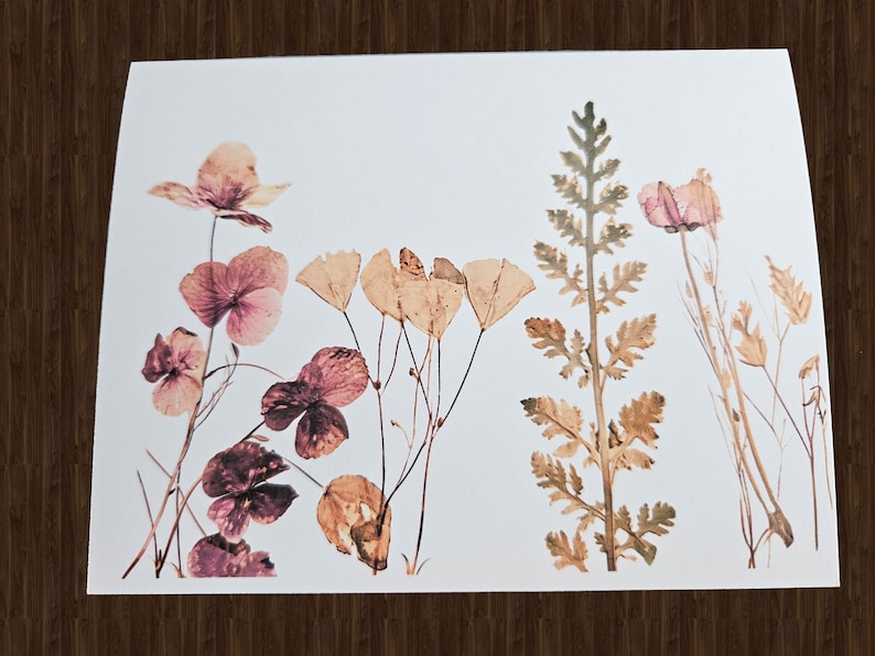 May include: A botanical print featuring pressed flowers and foliage in shades of pink, brown, and beige. The arrangement includes various floral and plant elements, creating a natural and delicate aesthetic. The print is on a white background.