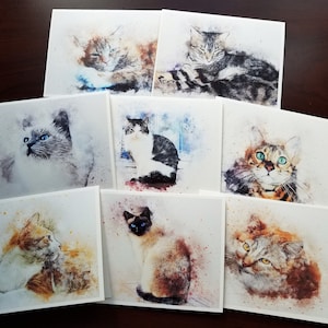 Note Cards with Envelopes, Cat Note Cards, Birthday Gift for Cat Lover